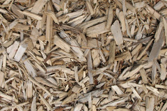 biomass boilers Cremyll